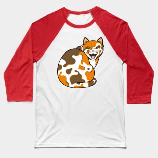 Angry Calico Cat Baseball T-Shirt